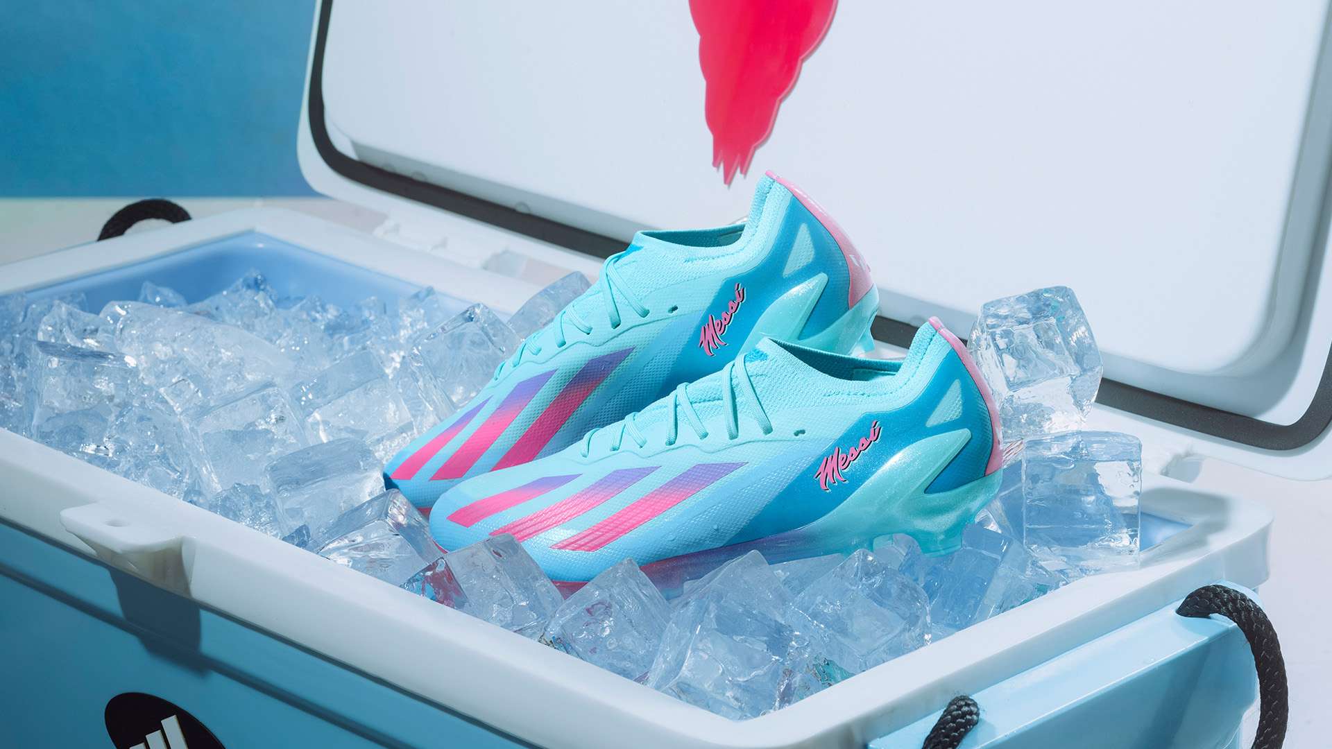 露出教練對 露出教練對